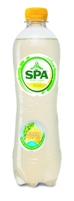 pdp-image-Spa Lemon cactus