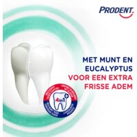 Een afbeelding van Prodent Tandpasta menthol power