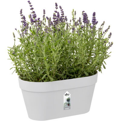 pdp-image-Elho Wandrek pot wit 28cm