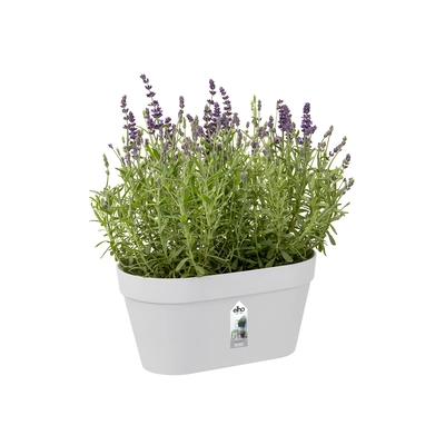 pdp-image-Elho Wandrek pot wit 28cm