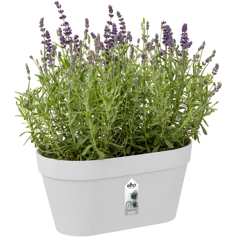 Een afbeelding van Elho Wandrek pot wit 28cm