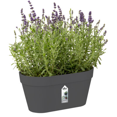 pdp-image-Elho Wandrek pot antraciet 28cm