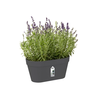 pdp-image-Elho Wandrek pot antraciet 28cm