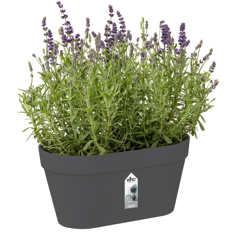 Een afbeelding van Elho Wandrek pot antraciet 28cm