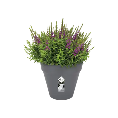 pdp-image-Elho Bloempot rond antraciet 30cm
