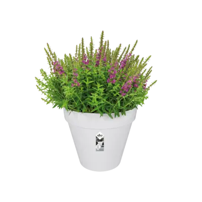 pdp-image-Elho Bloempot rond wit 30cm
