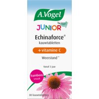 Een afbeelding van A.Vogel Echinaforce junior + vitamine c kauwtab