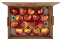 AH Fruitbox appels