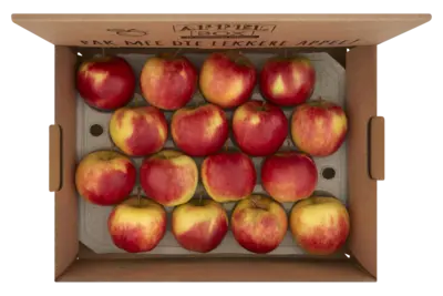 pdp-image-AH Fruitbox appels