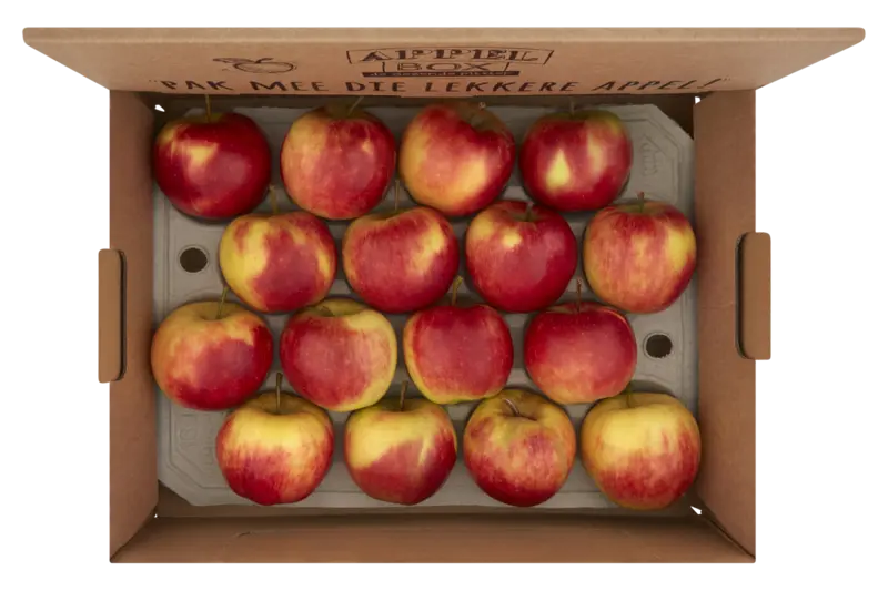 Fruitbox appels