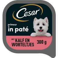 Een afbeelding van Cesar Primeur in pat kalf en worteltjes