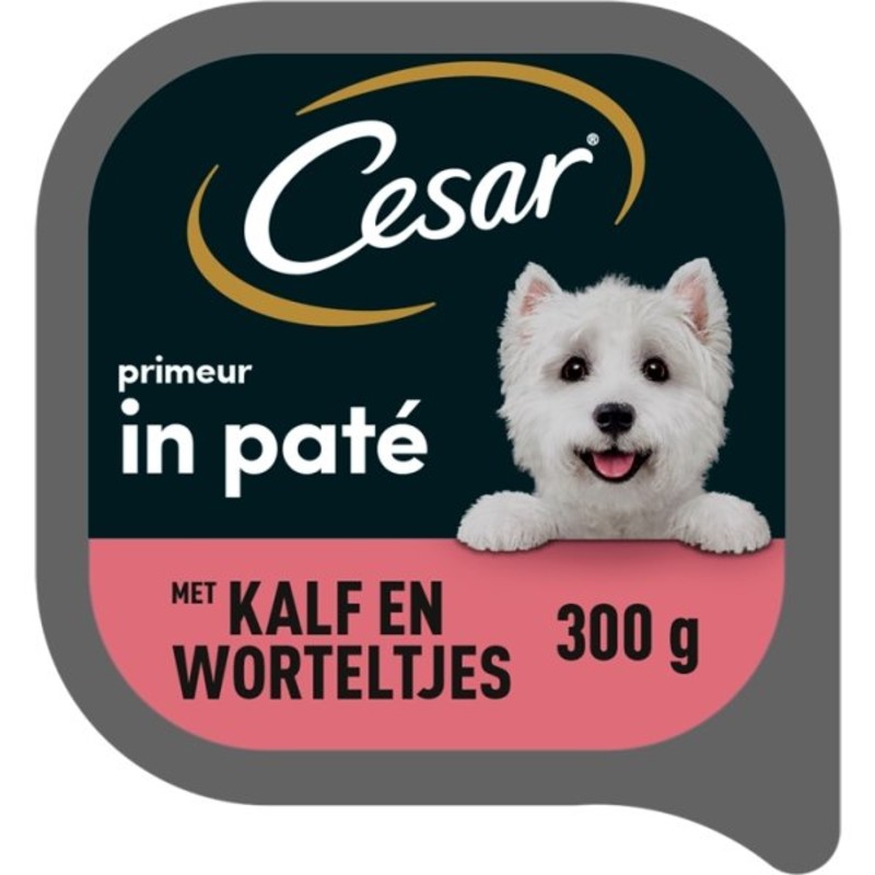 Een afbeelding van Cesar Primeur in pat kalf en worteltjes