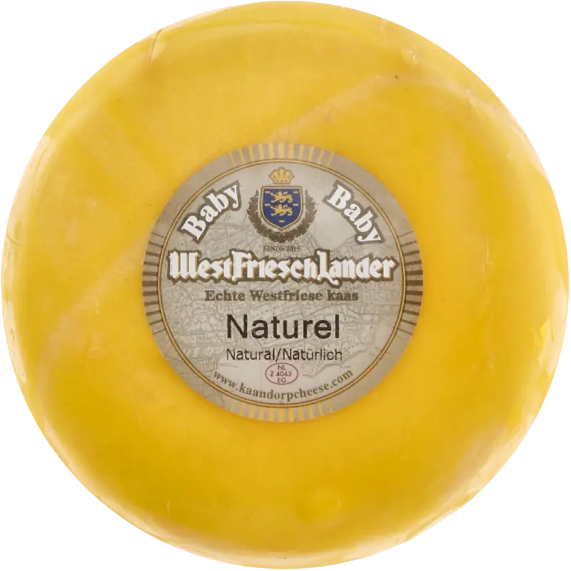 Westfrieschlander Babykaas naturel