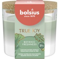 Doen genezen tevredenheid Bolsius producten bestellen | Albert Heijn
