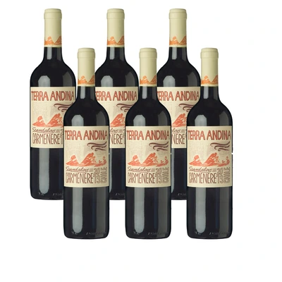 pdp-image-Terra Andina Carmenère