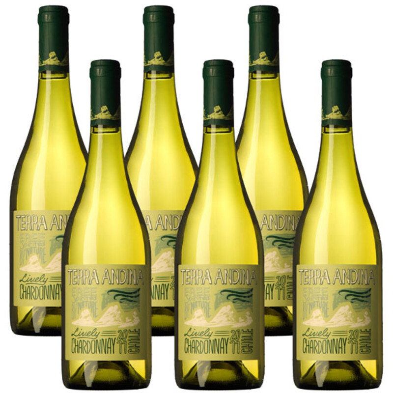 Een afbeelding van Terra Andina Chardonnay