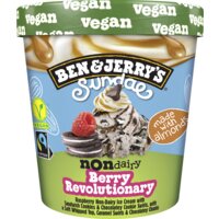 Een afbeelding van Ben & Jerry's Berry revolutionary sundae non-dairy
