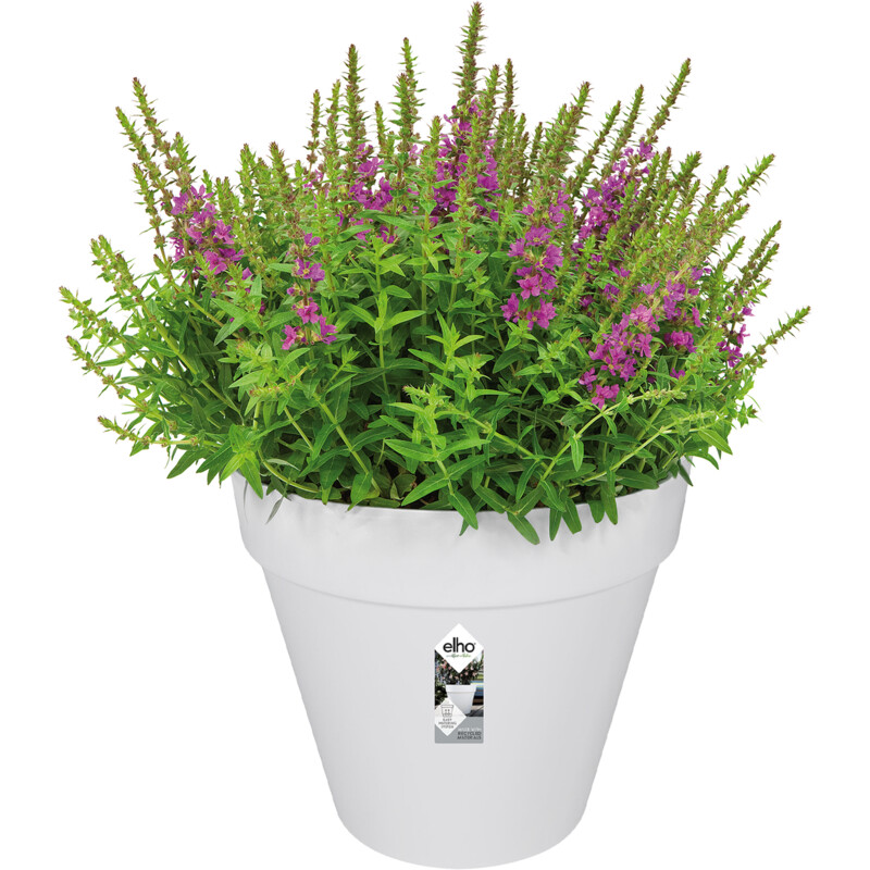 Een afbeelding van Elho Loft rond 20cm wit