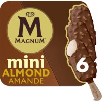 Een afbeelding van Magnum Mini almond