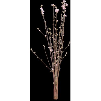 pdp-image-AH Perzikbloesem