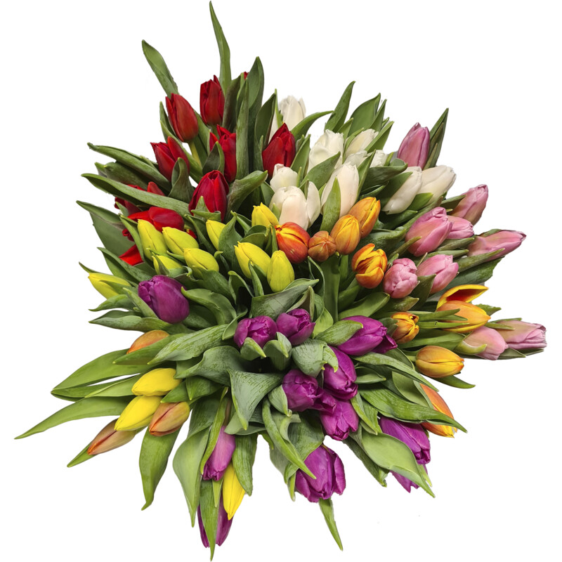 Een afbeelding van AH Tulp kleurenmix