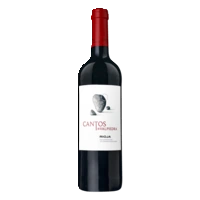 Finca Valdepiedra Cantos de valpiedra rioja crianza