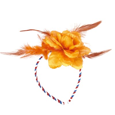 pdp-image-Folat Oranje tiara roos