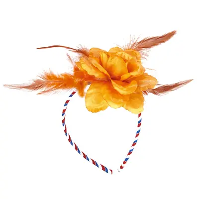 pdp-image-Folat Oranje tiara roos