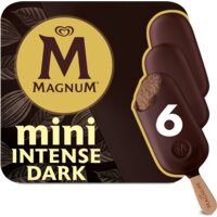 Een afbeelding van Magnum Intense dark mini