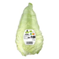 AH Biologisch Spitskool