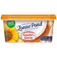 Een afbeelding van Gouda's Glorie Zonnepond