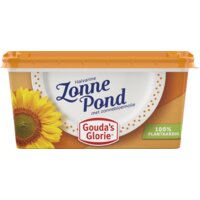 Een afbeelding van Gouda's Glorie Zonnepond