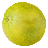 AH Limelon meloen