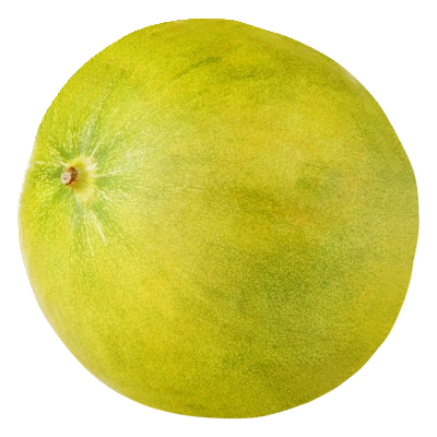 pdp-image-AH Limelon meloen