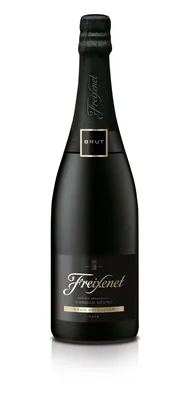 pdp-image-Freixenet Cordon negro brut bel doos