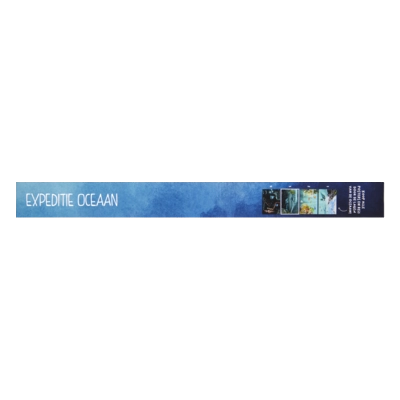 pdp-image-AH Poster Blauw vinvis