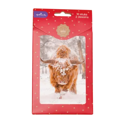 pdp-image-Hallmark Hangpakje kerstkaarten modern 6