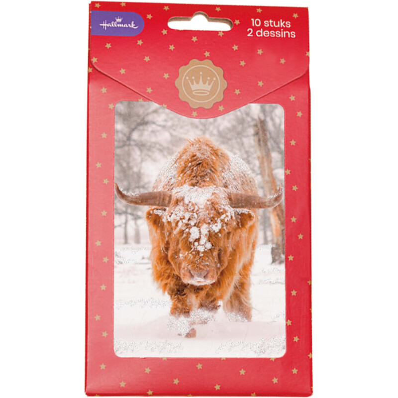 Een afbeelding van Hallmark Hangpakje kerstkaarten modern 6
