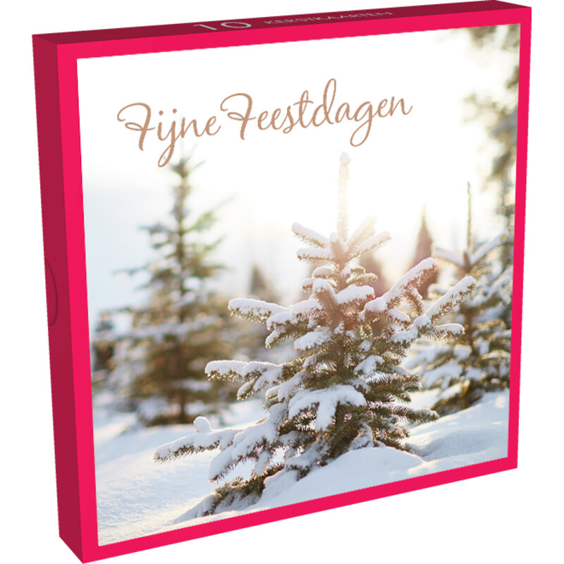 Hallmark Budgetdoos kerstkaarten 3 bestellen Albert Heijn