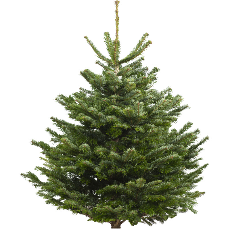 Een afbeelding van AH Nordmann gezaagd