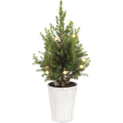 pdp-image-AH Kerstboom versierd verlichting p15