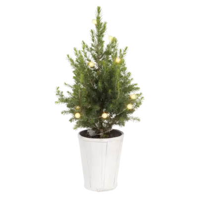 pdp-image-AH Kerstboom versierd verlichting p15