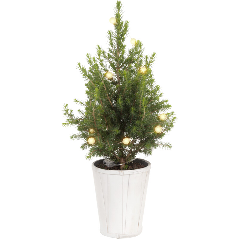 AH Kerstboom versierd verlichting p15 bestellen Albert Heijn