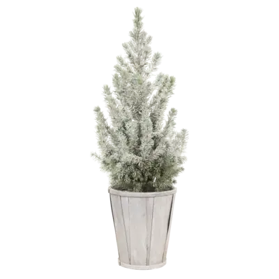 pdp-image-AH Kerstboom besneeuwd p15