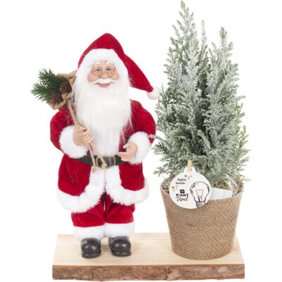 pdp-image-AH Rendier led boompje