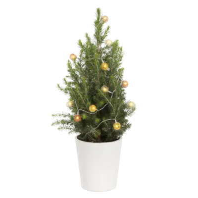 pdp-image-AH Kerstboom metaaldraad verlichting p15