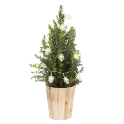 pdp-image-AH Kerstboom dennenappel verlichting p15