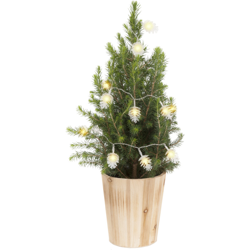 AH Kerstboom dennenappel verlichting p15 bestellen Albert Heijn