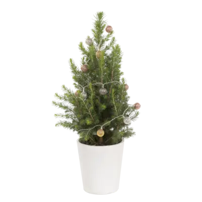 pdp-image-AH Kerstboom marrakesh verlichting p15