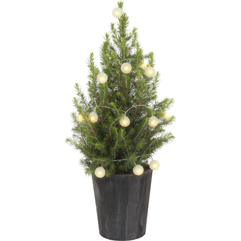AH Kerstboom p15 acrylbal verlichting bestellen Albert Heijn